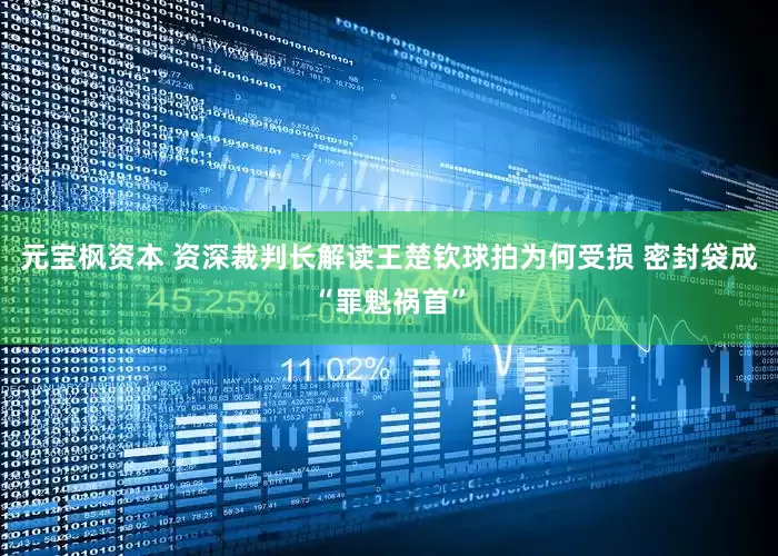 元宝枫资本 资深裁判长解读王楚钦球拍为何受损 密封袋成“罪魁祸首”