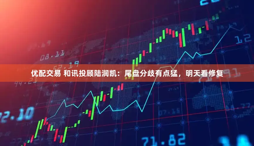 优配交易 和讯投顾陆润凯：尾盘分歧有点猛，明天看修复