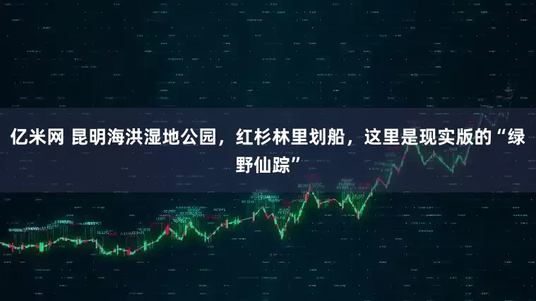 亿米网 昆明海洪湿地公园，红杉林里划船，这里是现实版的“绿野仙踪”