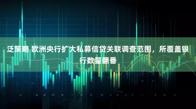 泛策略 欧洲央行扩大私募信贷关联调查范围，所覆盖银行数量翻番