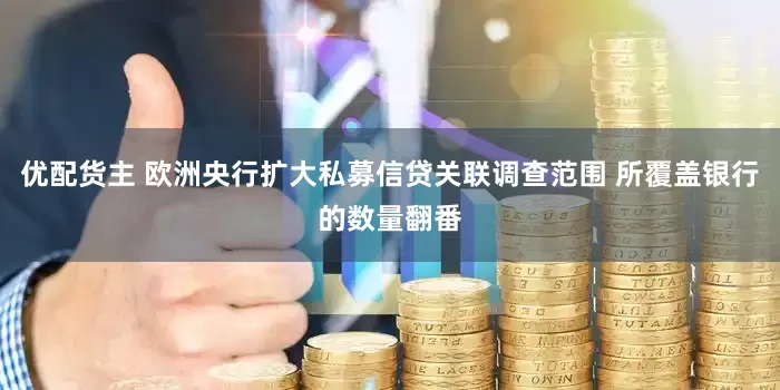 优配货主 欧洲央行扩大私募信贷关联调查范围 所覆盖银行的数量翻番