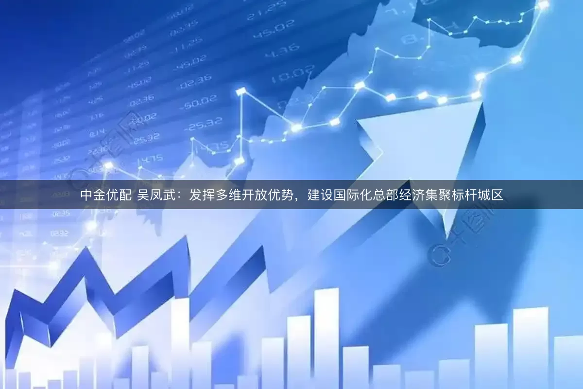 中金优配 吴凤武：发挥多维开放优势，建设国际化总部经济集聚标杆城区